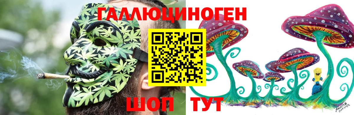 Псилоцибиновые грибы Magic Shrooms Великий Устюг