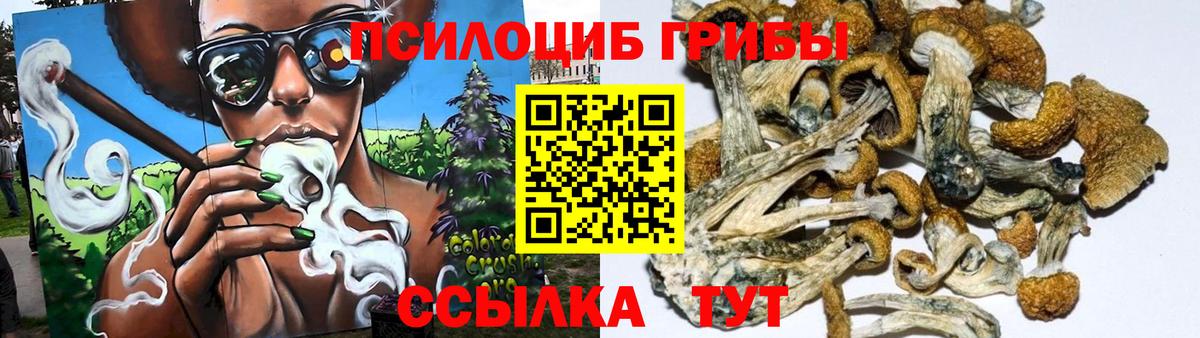 Великий Устюг  Псилоцибиновые грибы мухоморы  Вход с VPN 